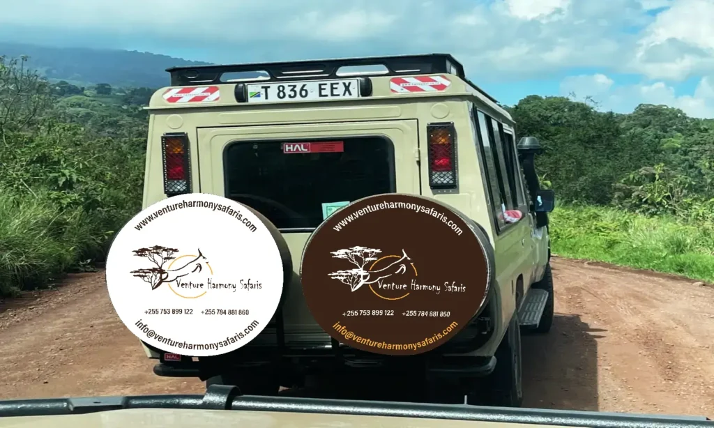 Travel tips guide