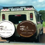 Travel tips guide