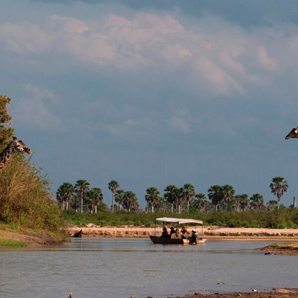 8557d01c-710f-4fa6-9e0b-2a41ecaeea2b