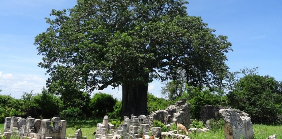 les-tombeaux-des-sultans