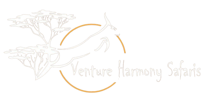 Venture Harmony Safaris